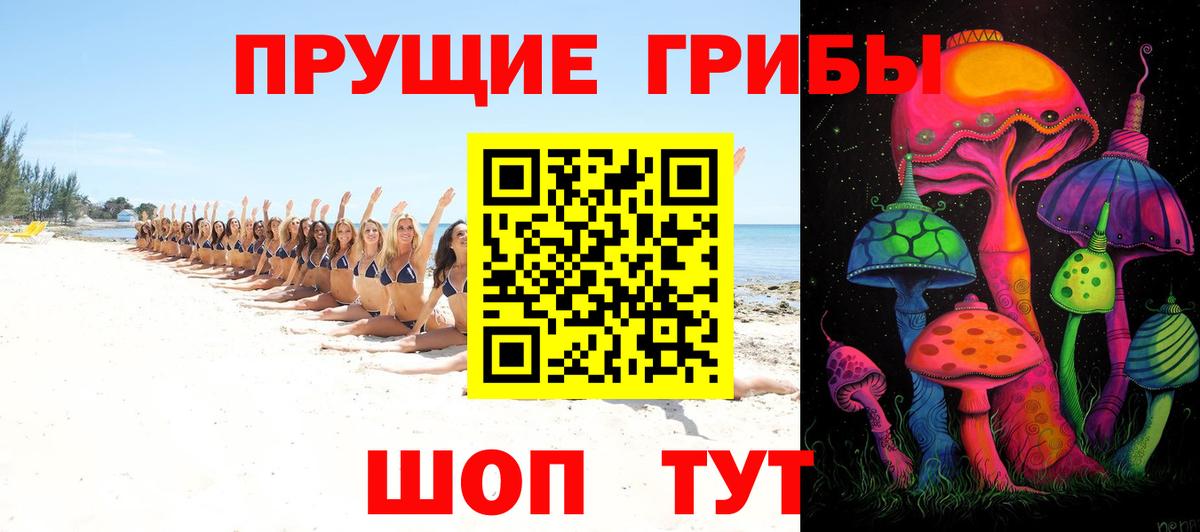 Галлюциногенные грибы прущие грибы  Вход с VPN  Хасавюрт  сколько стоит  Галлюциногенные грибы Psilocybe 